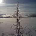 Samotność #Krajobraz #mróz #Przyroda #Śnieg #Zima