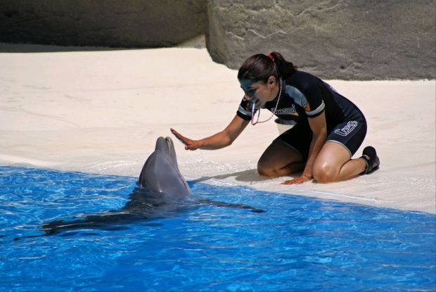 GARDALAND-DELFINY