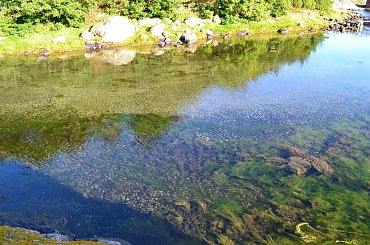 #widoki #morze #szwecja #wyspy