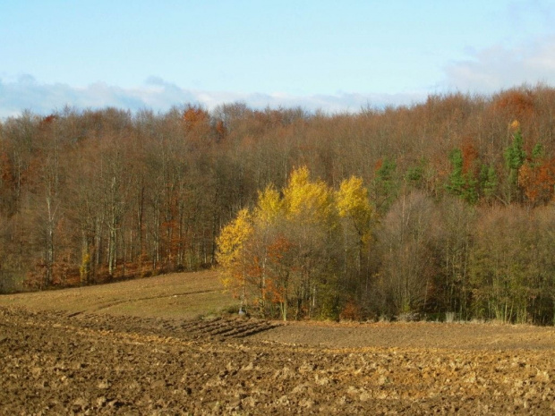 jesień na kaszubach