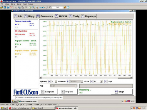 Panda 1,1 Pb