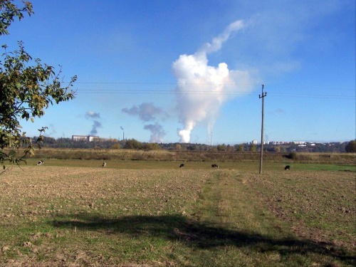 fabryka chmur - płock
