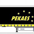 PEKAES