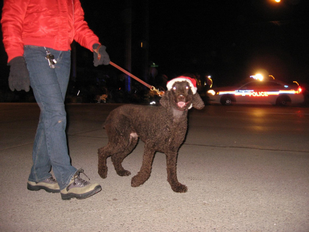 Santa Claus Parade