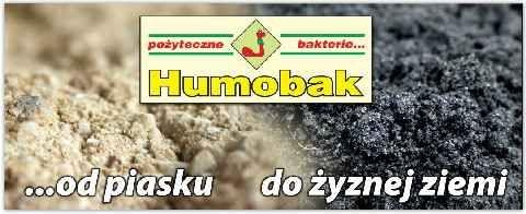 HUMOBAK1