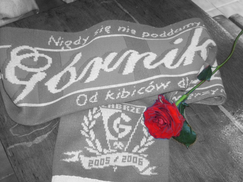 Rose...:)
