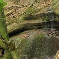 Wodospad Magórski w Magórskim Parku Narodowym