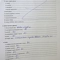 sekcja Krówki