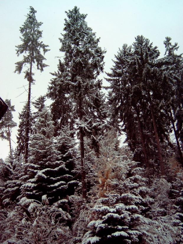 Pierwszy śnieg w RABCE-Zdrój 20.10.2007r #śnieg #rabka