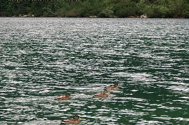 Góry #góry #tatry #urlop #Polska #szczyt #MorskieOko