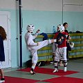 #arcus #koryo #taekwondo #tkd #wtf