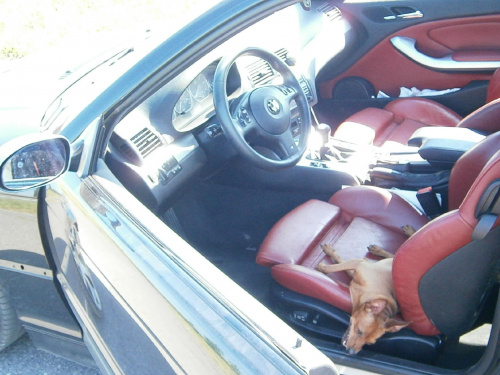 bmw 3