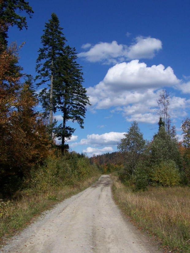 Szlak na Sianki - Bieszczady #szlak #bieszczady #sianki