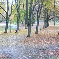 park Bednarskiego #park