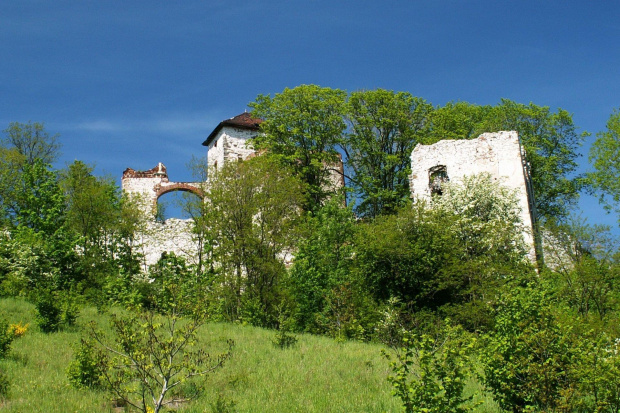 Zamek Tęczyn w Rudnie