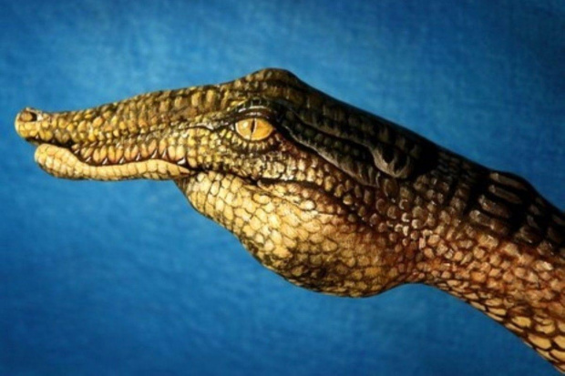#krokodyl #ręka #malarstwo