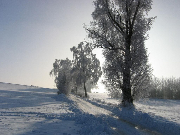 Nasza zima...mazurska