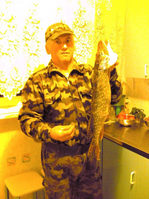 Szczupak z Bobru listopad 2007 #ryby