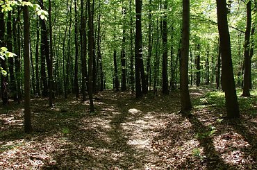 Wiosna #widoki #wiosna #natura