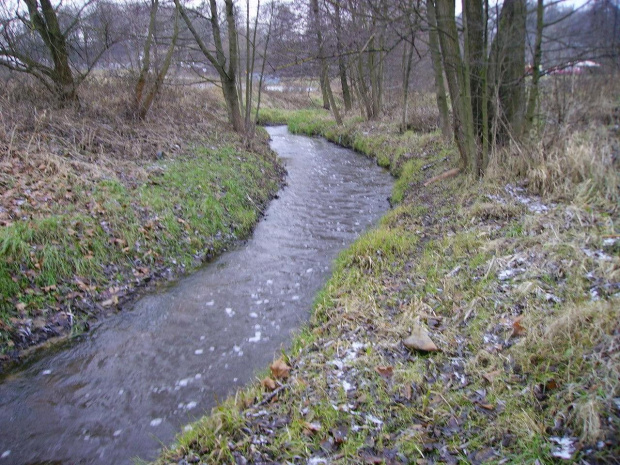 Struga jesienią