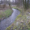 Struga jesienią