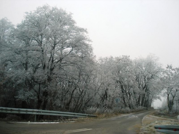 Legnica 21.12.2007