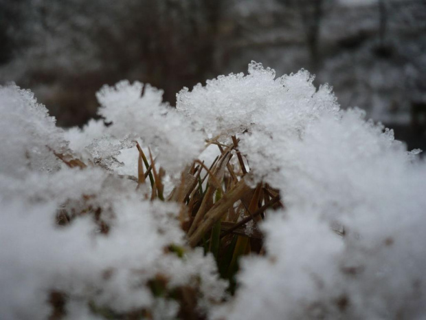 pod śniegiem