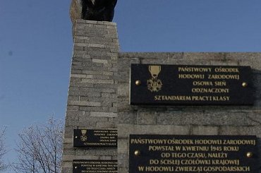 #pomnik #byk #zasłużony #samiec