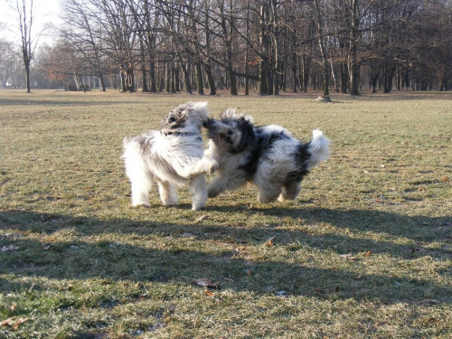 zabawa na całego :)