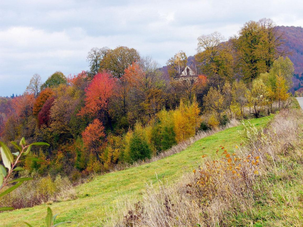 Terka #Bieszczady #góry