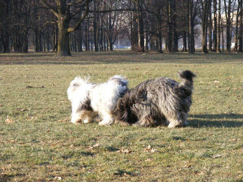 wszystko warto sprawdzić