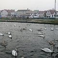 Pisz - rzeka Pisa #Pisa #Johannisburg