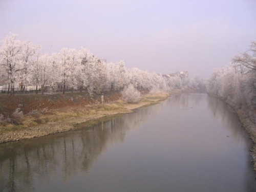 Widok z Mostu Zwierzynieckiego