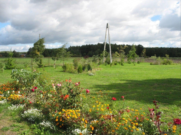 Widok od strony łąki.